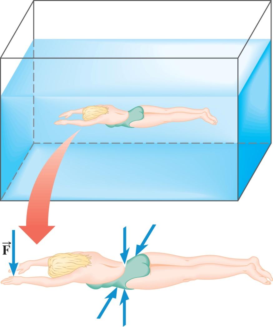11. Pressure Example The Force on a Swimmer Suppose the pressure acting on the back of a swimmer s hand is 1.x10 5 Pa. The surface area of the back of the hand is 8.4x10-3 m.