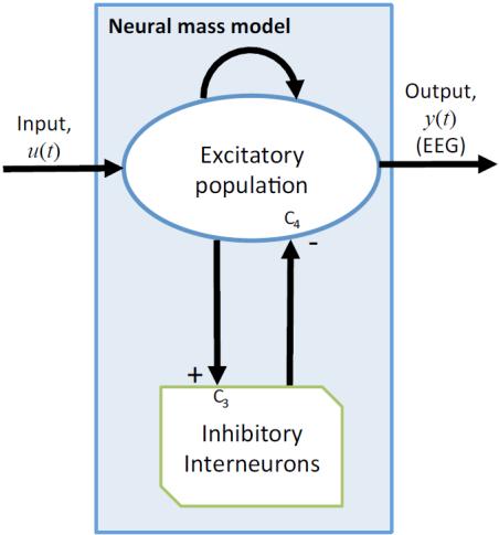 Neural mass models } See Deco et. al.