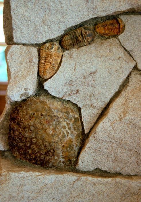 Larger particles (sand and pebbles) are deposited in high-energy places like beaches and riverbeds. These harden into sandstone and conglomerate. Can you find these fossils in the fireplace?