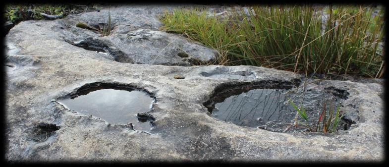 These are formed by water dissolving the limestone.