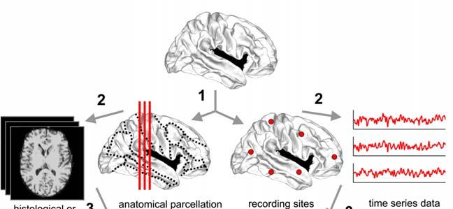 Introduction Extraction of Brain Networks from Empirical Data Bullmore & Sporns (2009) Nature