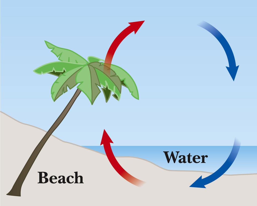 Specific heat: Applications On a hot day, the sun adds equal amounts of energy to a beach and the nearby water. Water has a higher specific heat than sand.