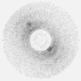 of disk (peak SNR=15) LC images