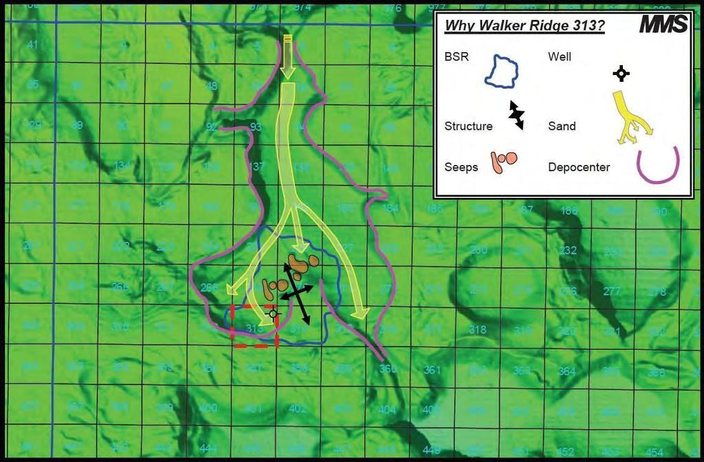 Terrebonne Basin Area (Purple Line) Seafloor