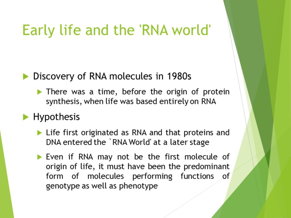 In the 1980s, discovery of RNA molecules with catalytic activity, which earned the 1989 Nobel Prize in Chemistry to Sidney Altman and Thomas Cech, generated interest in an idea, which assumed that