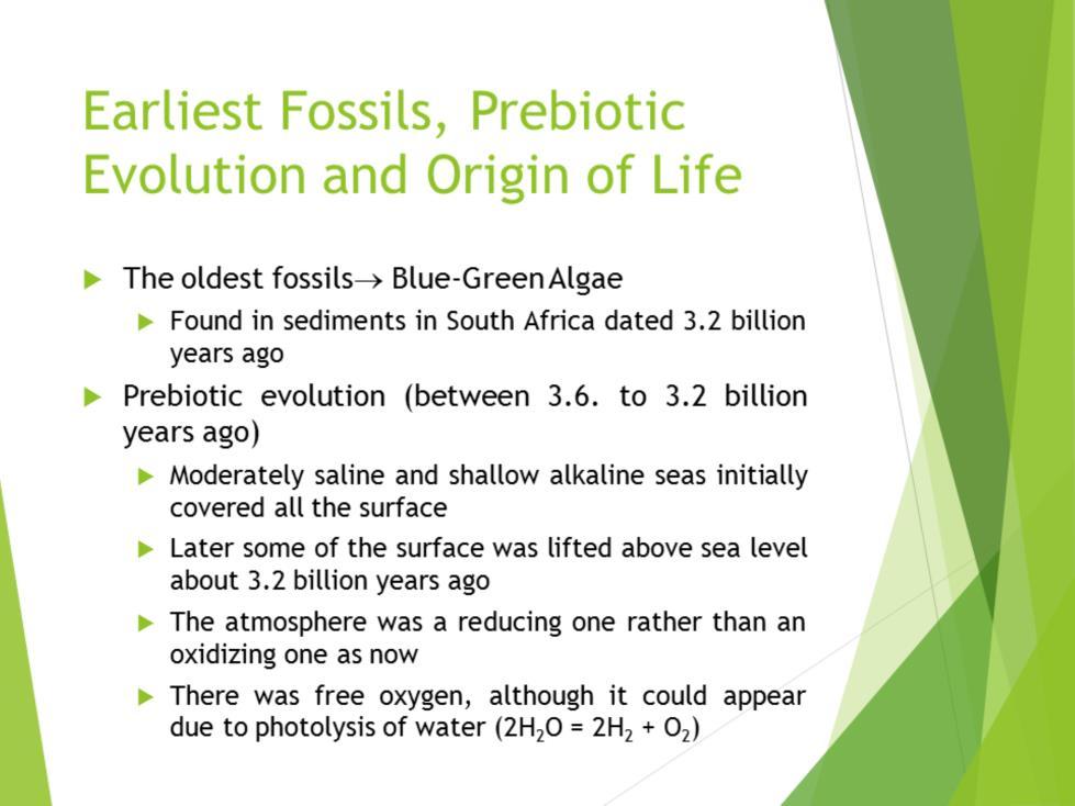 The oldest fossils belonging to the blue-green algae were found in sediments in South Africa dated 3.2 billion years ago. Between these times i.e. from 3.6. to 3.