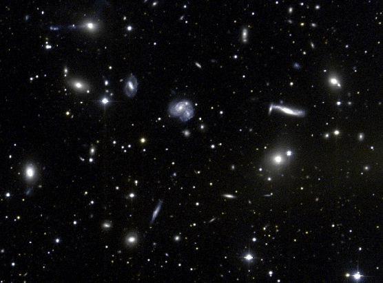 cluster contain ~7% of the local stellar luminosity (Kochanek