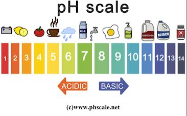 The ph scale Recall This scale is logarithmic.
