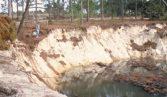 Figure 37.5 Sudden land subsidence. Overuse of groundwater for irrigation triggered formation of this sinkhole in Florida. to trickles by the diversion of water for irrigation.
