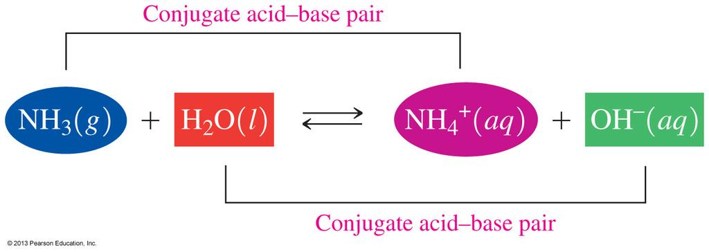 Conjugate Acids and Bases, NH 3 The first conjugate acid base pair is NH 3 /NH 4+. NH 3, acts as a base by gaining H + to form its conjugate acid NH 4+.