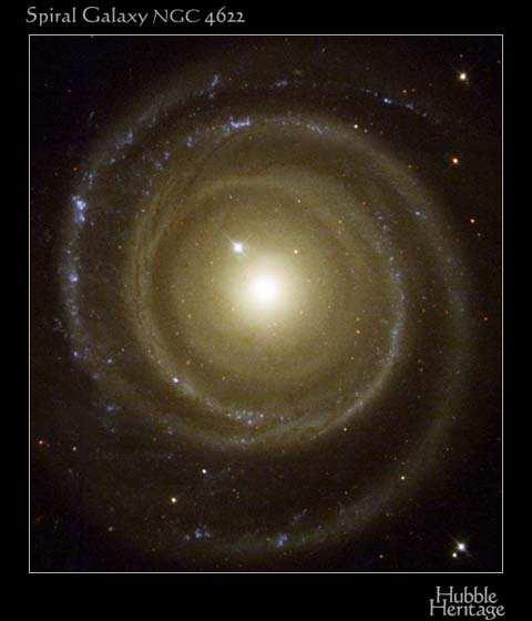 2) They contain up to 10^12 stars and lots of gas, dust, ongoing star formation.