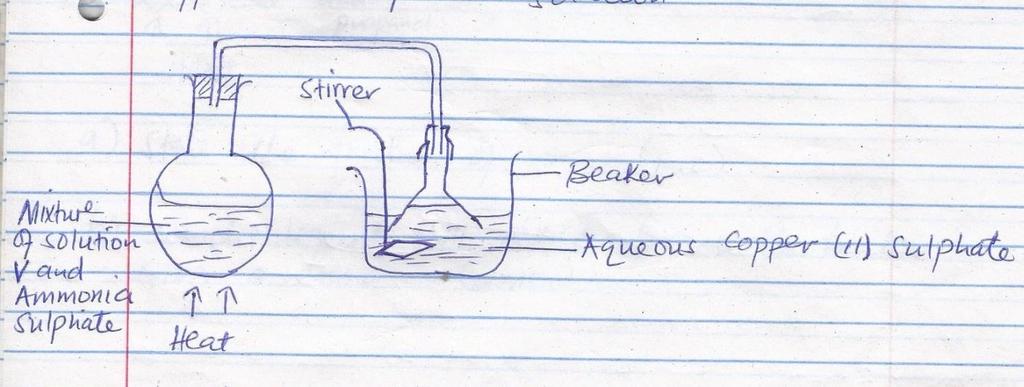 11. A student let up the apparatus shown below to prepare ammonia gas and react it with copper (II)