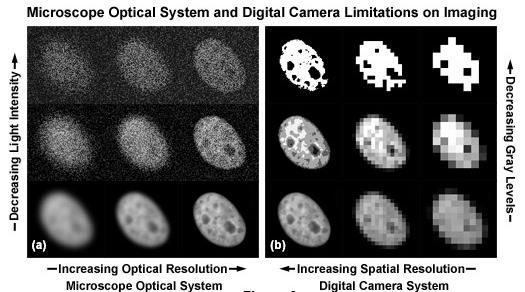 Considerations of Microscopy in μpiv (3) The real world size derived from a CCD camera can be expressed as The significant limitations of the microscope optical system