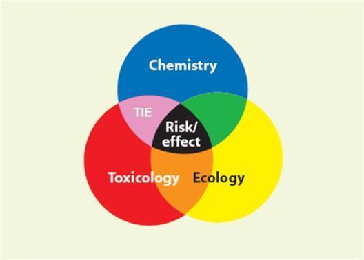 Site specific risk assessment: WFD 1. If major contaminants and concentrations are known: Concentration addition for chemicals with similar modes of action. C PNEC 1.