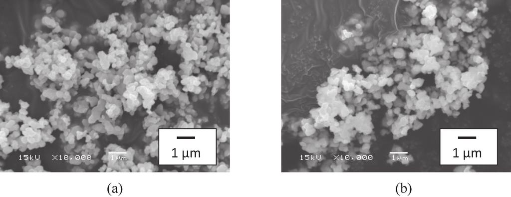 JCS-Japan Fig. 3. Morphologies of STO and BTO powder [(a) STO and (b) BTO]. Fig. 4. N 2 gas adsorption and desorption isotherms under 77K [(a) STO and (b) BTO]. Fig. 5.