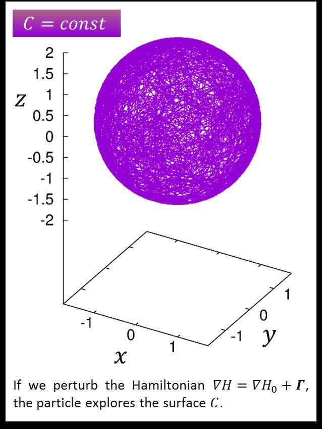CONSTRAINED ORBITS Euler Rigid Body (Hamiltonian) w = x Beltrami