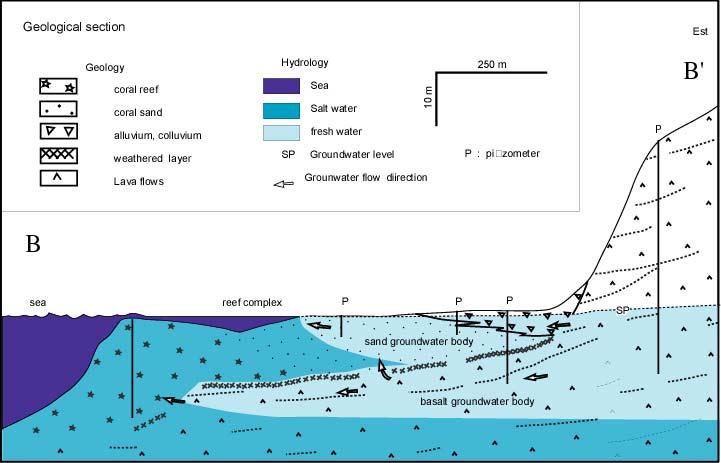 Coastal aquifer in a young volcanic island with a