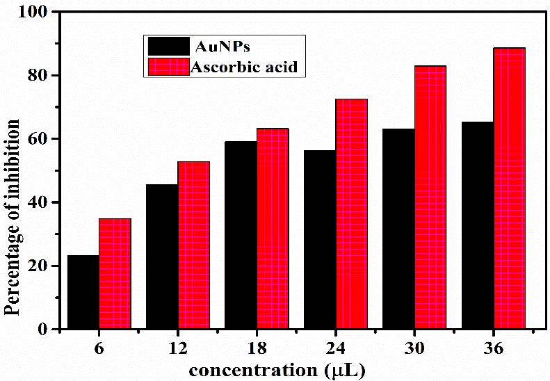 Anti-oxidation studies The synthesized AuNPs antioxidant activity was evaluated using DPPH assay using ascorbic acid as reference.