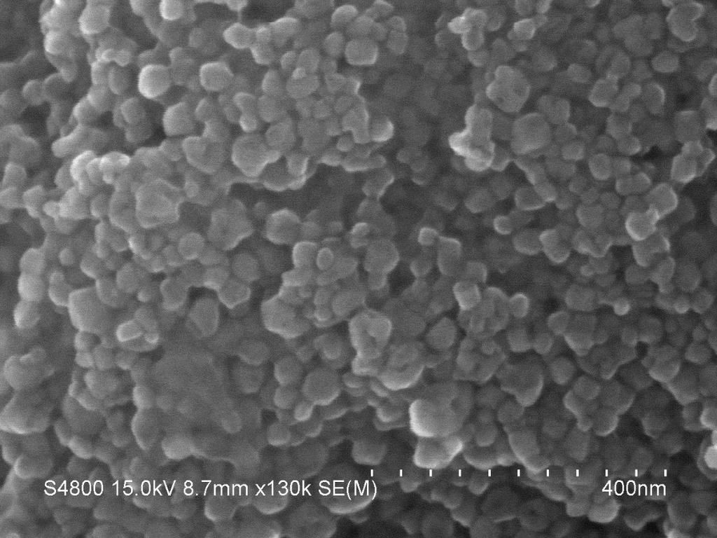 Supplementary Figure 3. SEM image of as-prepared anatase-tio2 nanoparticles.