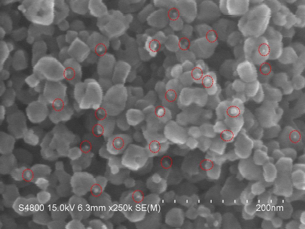 Supplementary Figure 4. SEM image of Pd/TiO2 sample. The Pd(1.0 wt %)/TiO2 photocatalyst powder was prepared by the co-precipitation method.
