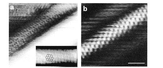 (b) STM image of a SWNT on the surface of a rope recorded with I ) 0.12 na and V ) 0.60 V. The scale bar is 1 nm.