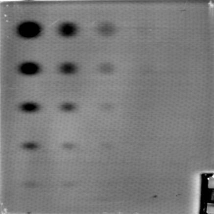 Fig. 2. FBH specimen tested at 0.095 Hz lock-in-frequency with Halogen lamps (left) and VCSEL (right).