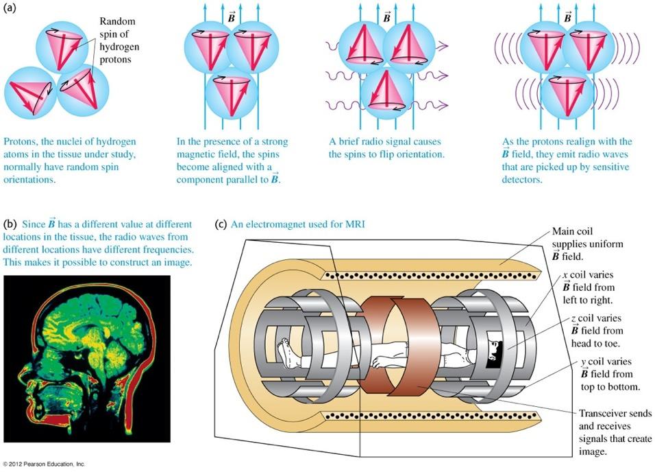 MRI and Nuclear
