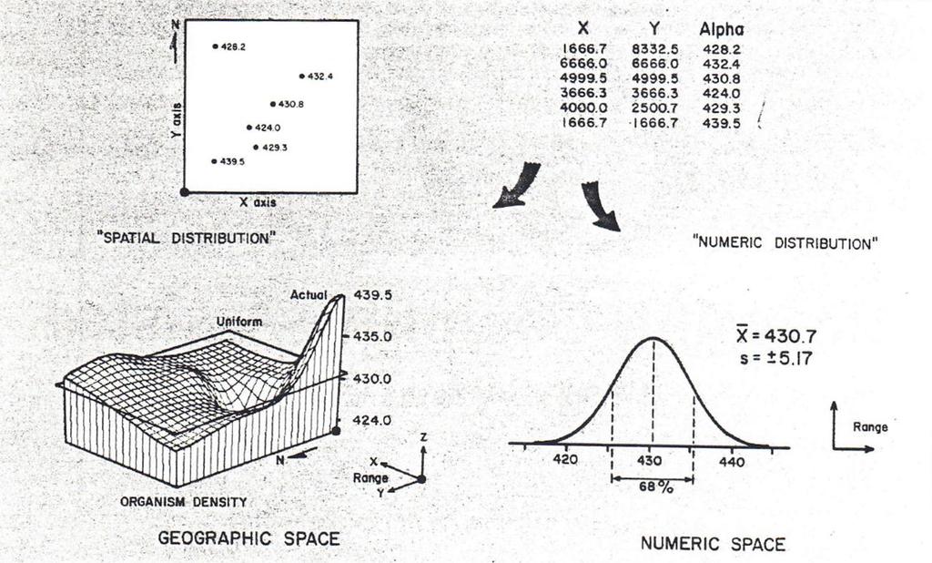 Figure 1. Spatial Statistics.