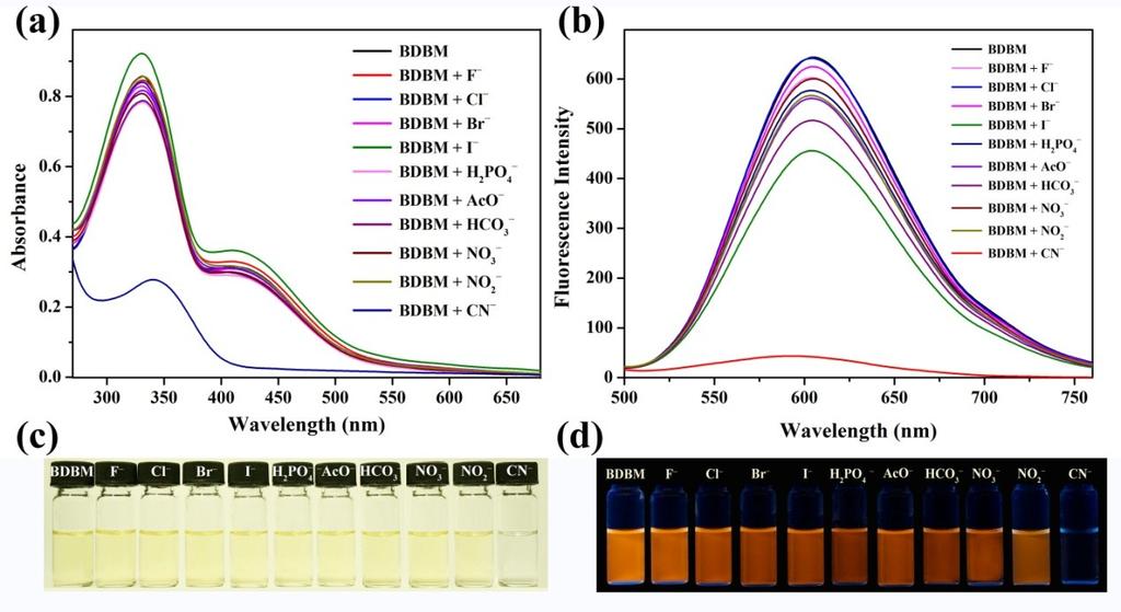 Fig. S13 (a) Absorption spectra and (b) fluorescence of BDBM in CTAB micelles (2 mm) upon