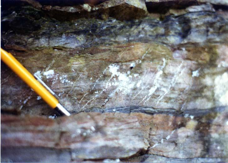 Figure 19a Interbedded quartz-rich beds and slate of the Hatch Hill Formation.
