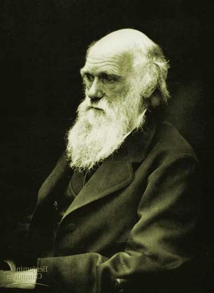Part A: Darwin