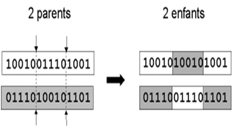 AI_Lagamine Genetic algorithm optimization Initial population N individus FEM calculation Convergence criteria?