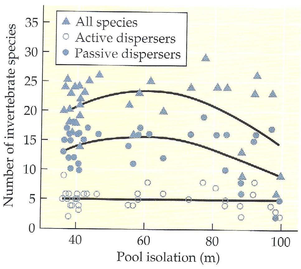 Mass Effects Empirical studies provide some support for model Diversity of macroinvertebrates in rock pools in So Africa Local species richness