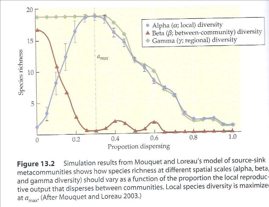 Mass Effects A zero dispersal, each local community is dominated by best local competitors; low alpha diversity and high beta and gamma diversity Prop dispersing increases, alpha increases because of