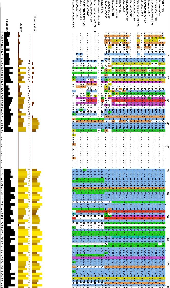 Figure 5a: Results of a multiple alignment with a total of 26 species across taxa.