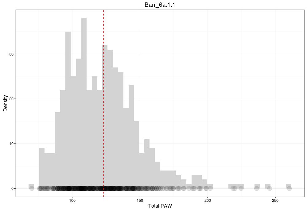 Figure 4: Histogram of the profile available water (PAW) of 500 realisations of the Barr_6a sibling.