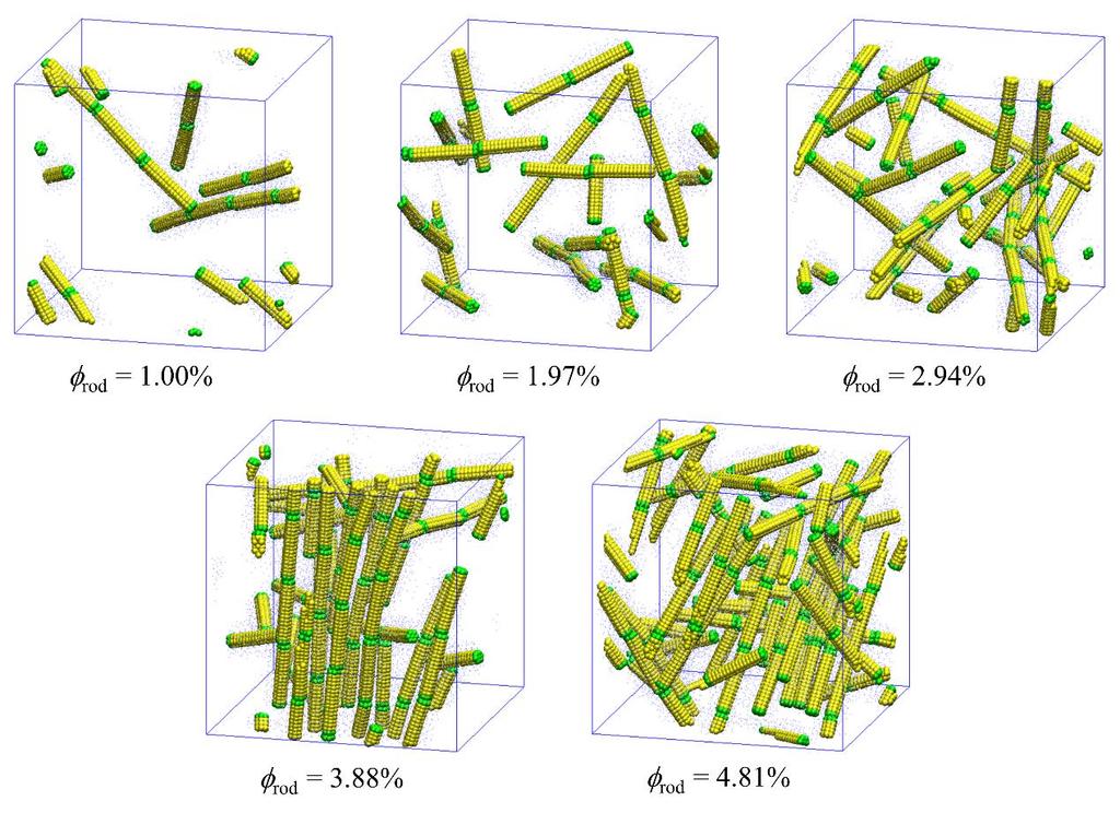 Figure S7. Simulation snapshots of the typical structures formed by the NRs densely grafted with short chains ( g = 1.09 chains/ 2 and Lg = 3) at different NR volume fractions rod as indicated.