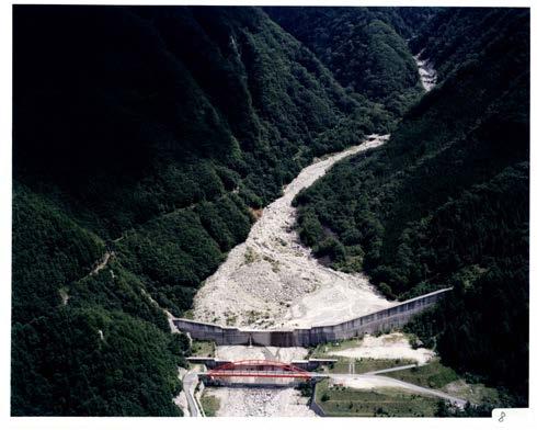 Before (Sep,1999) After: Coverage of Debris Aug,2004 Photo 3 Capture of debris flow by the Namekawa No.