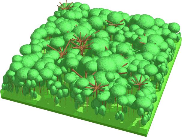 2 MODELING OF THE RADIATION TRANSFER 9 Figure 6: Perspective view of a realization of the virtual tropical forest during the dry