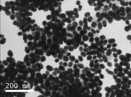 TEM images of Au nanoparticles are shown in Fig 1,which were made in Tecnai G2 SpiritBiotwin.