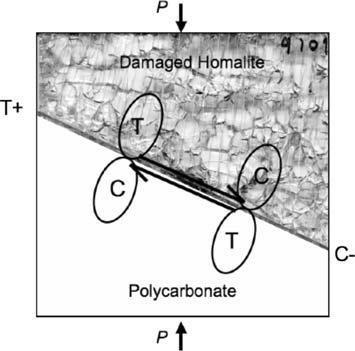 1640 C. G. Sammis et al. Pure appl. geophys., Figure 11 Asymmetries in an undamaged polycarbonate plate in contact with a damaged Homalite plate.