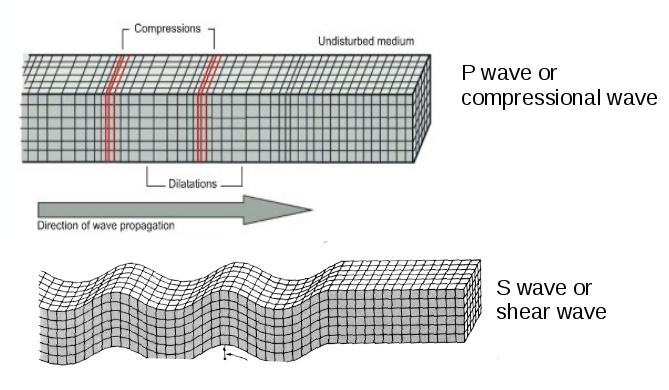 ERTH2020 Basic Seismology - 3 Particle motion of body waves P waves and S waves are called body waves. They can travel within the body of the earth.
