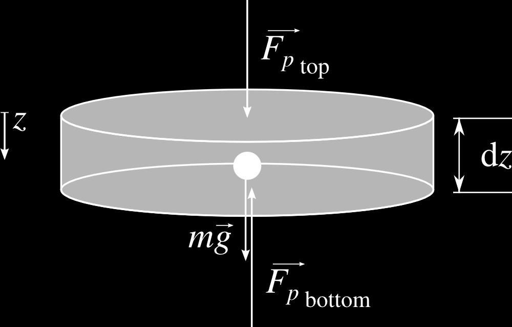 Figure 1.2 A fluid element of (finite) horizontal surface