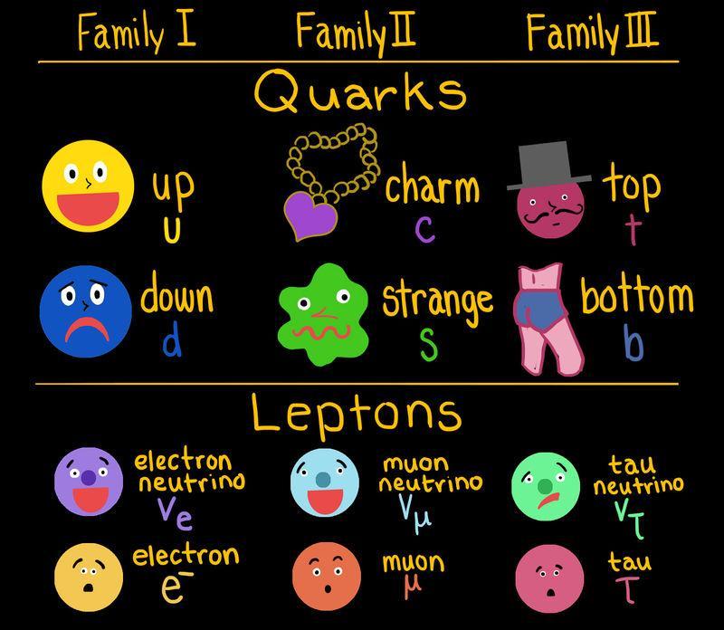 The Standard Model Fermions Composed of leptons and quarks, separated into three families by mass Constrained by the Pauli Exclusion Principle