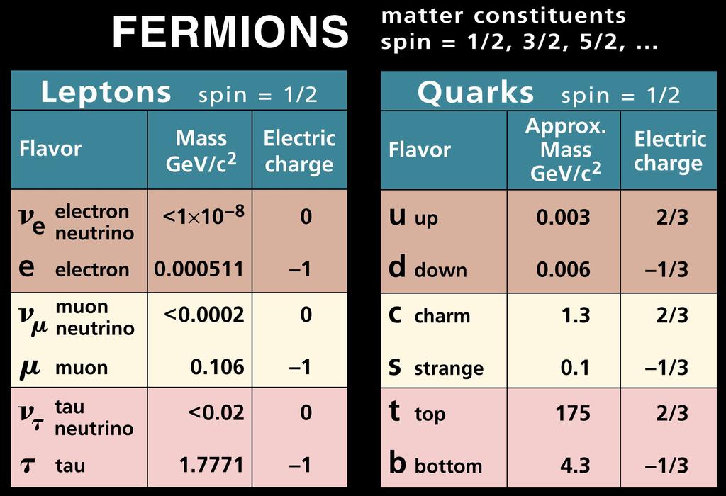 fermions (due to spin) Up and down quarks make up ordinary matter Proton is uud, neutron is udd The other quarks are only created in