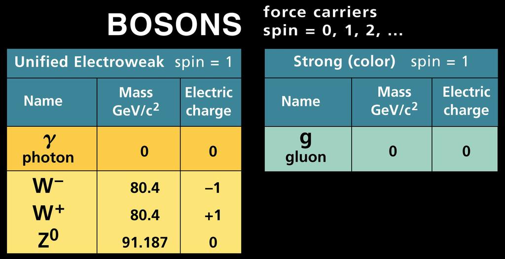 The Standard Model Bosons Integer spin Convey force Do not follow Pauli Exclusion Principle Hadrons composed of two bound quarks (mesons) All mesons are bosons (due to spin)