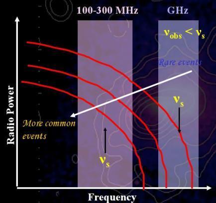 Spectra of radio halos Coma: