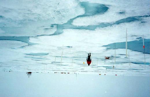 Figure 1. Ice Station SHEBA August 1998. Mass balance measurements were made at each white stake. Note the variegated nature of the ice surface, with a mixture of bare ice and ponds.