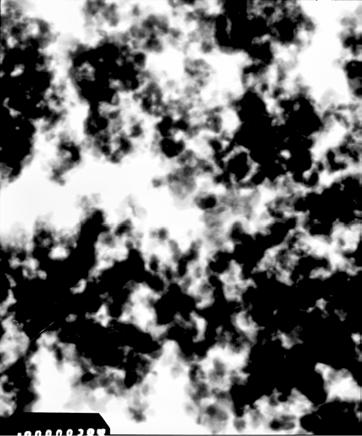 TEM images of the functioning catalysts Figure 8 showed TEM images of the CNT-promoted catalyst and its CNT-free counterpart both undergoing 3 h of the reaction operation for the HAS. (a) Fig.