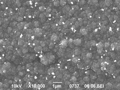 reduction. Thus a complete coverage of the external polymer surface by closely packed Ag nanoparticles becomes possible.